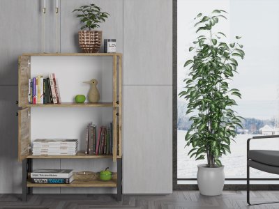 Independent Multi-Purpose Console