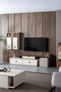 Orjin Tv Unit